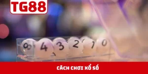 Cách Chơi Xổ Số