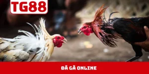 Đá Gà Online