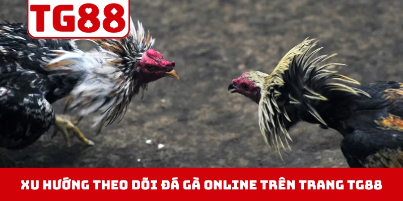 Xu hướng theo dõi đá gà online trên trang TG88