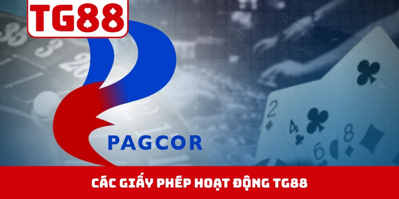 Các giấy phép hoạt động TG88 được cấp từ đơn vị quốc tế
