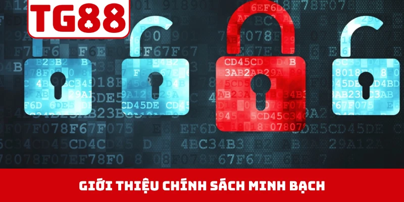 Giới thiệu chính sách minh bạch, giữ chân người chơi lâu dài