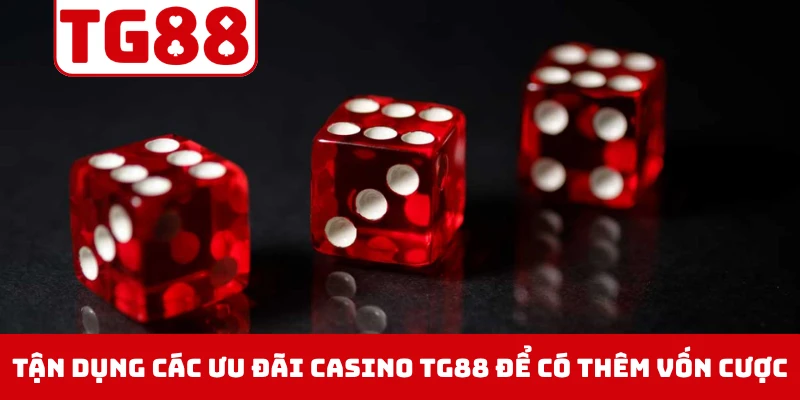 Tận dụng các ưu đãi casino TG88 để có thêm vốn cược