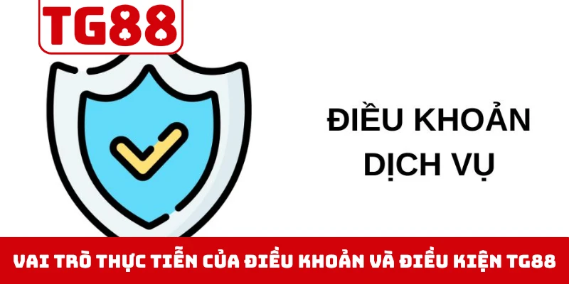 Vai trò thực tiễn của điều khoản và điều kiện TG88